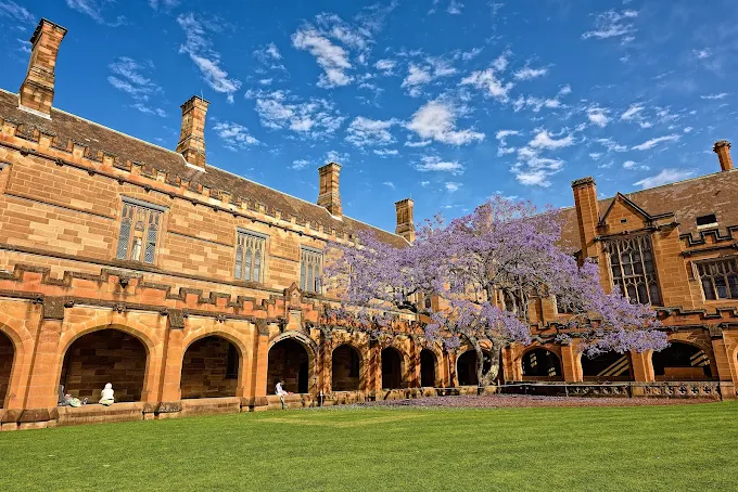 University of Sydney