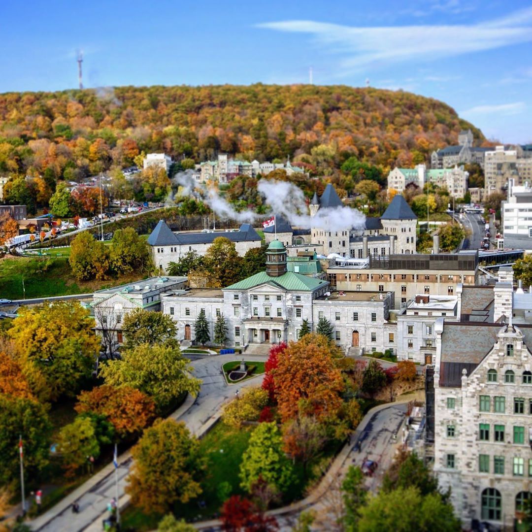 McGill University