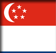 Singapore Visa Services